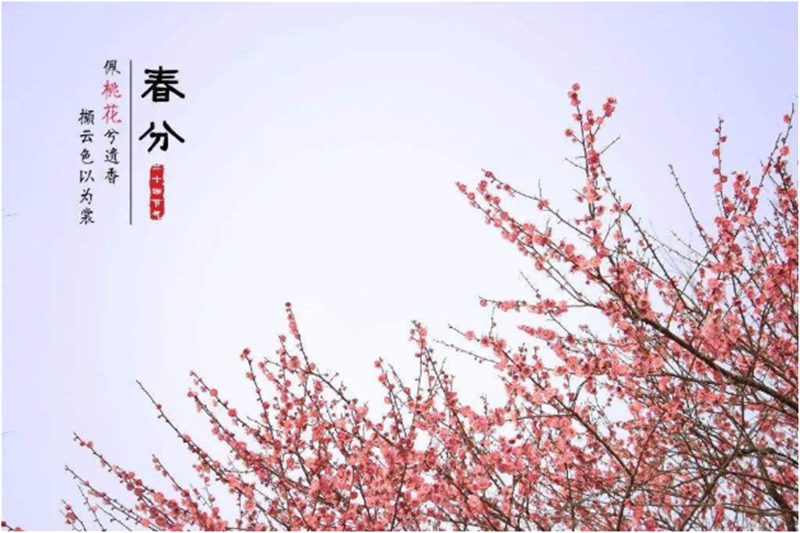 春分——轉(zhuǎn)載網(wǎng)絡圖片